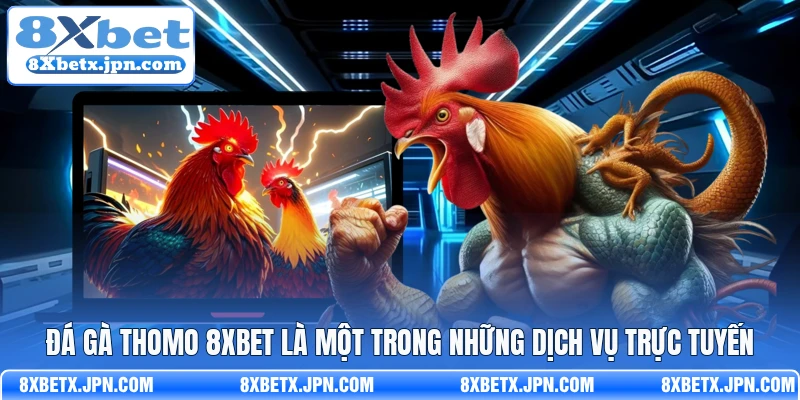 Đá gà thomo 8Xbet là một trong những dịch vụ trực tuyến
