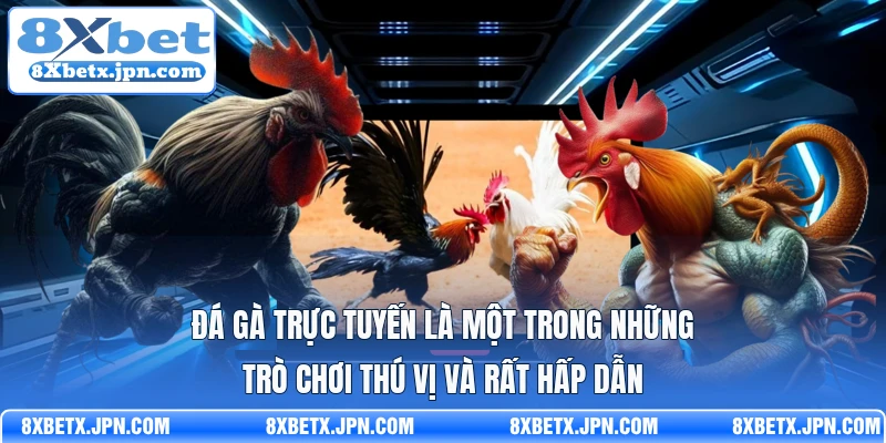 Đá gà trực tuyến là một trong những trò chơi thú vị và rất hấp dẫn