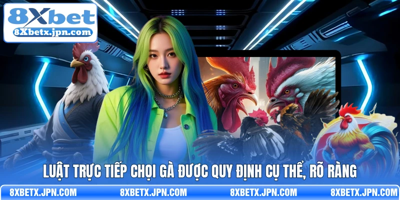 Luật trực tiếp chọi gà được quy định cụ thể, rõ ràng