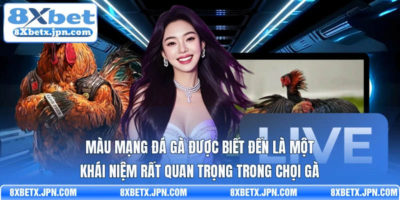 Màu mạng đá gà được biết đến là một khái niệm rất quan trọng trong chọi gà
