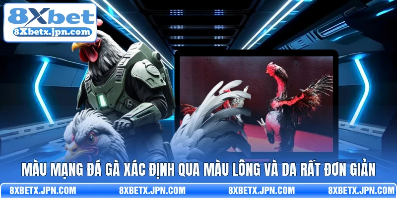 Màu mạng đá gà xác định qua màu lông và da rất đơn giản