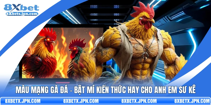 Màu Mạng Gà Đá - Bật Mí Kiến Thức Hay Cho Anh Em Sư Kê