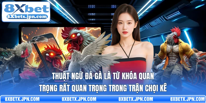 Thuật ngữ đá gà là từ khóa quan trọng rất quan trọng trong trận chọi kê