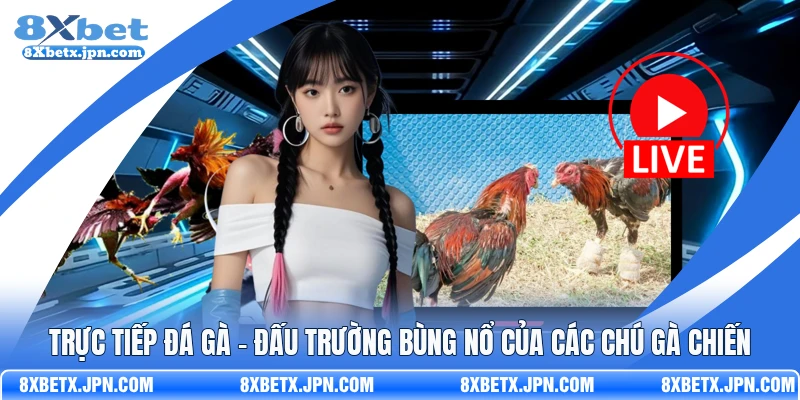 Trực Tiếp Đá Gà - Đấu Trường Bùng Nổ Của Các Chú Gà Chiến